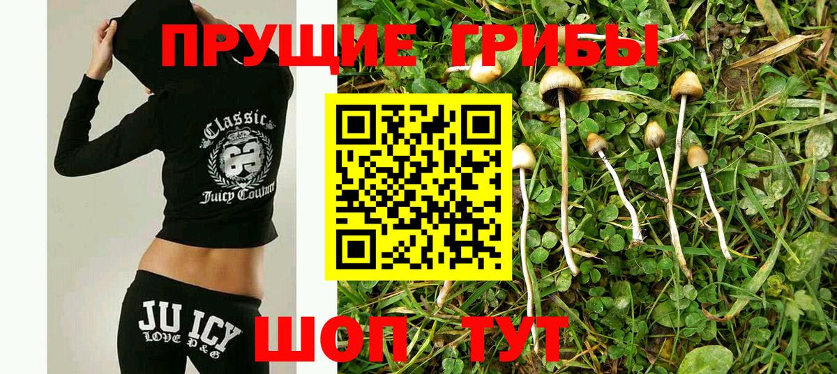 Псилоцибиновые грибы Cubensis  Вход с VPN  Ржев  Галлюциногенные грибы Cubensis 