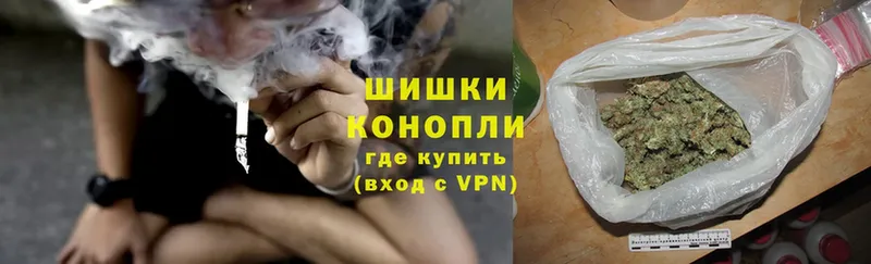 Бошки марихуана SATIVA & INDICA  как найти наркотики  Ржев 